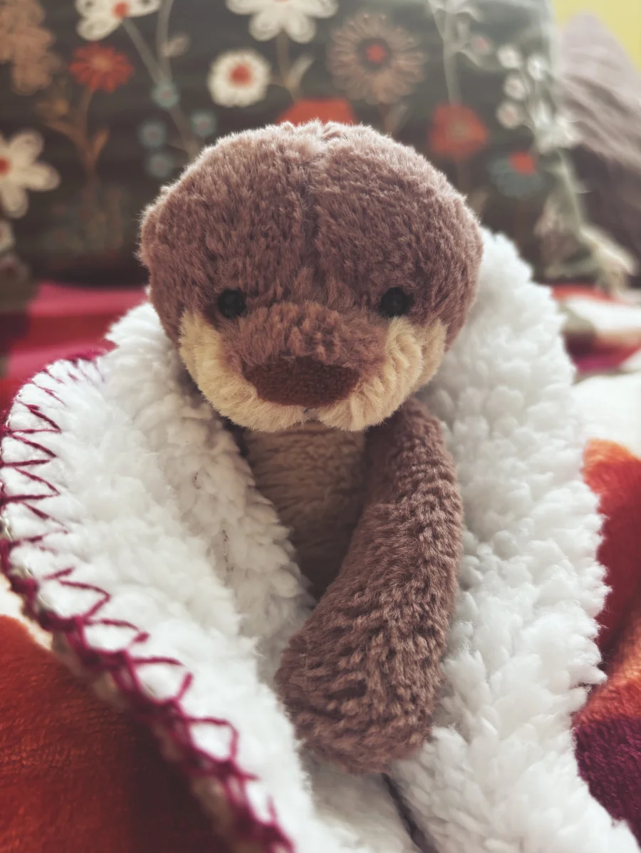 Front - Bashful Otter - Small photo by lottylovesjellycats