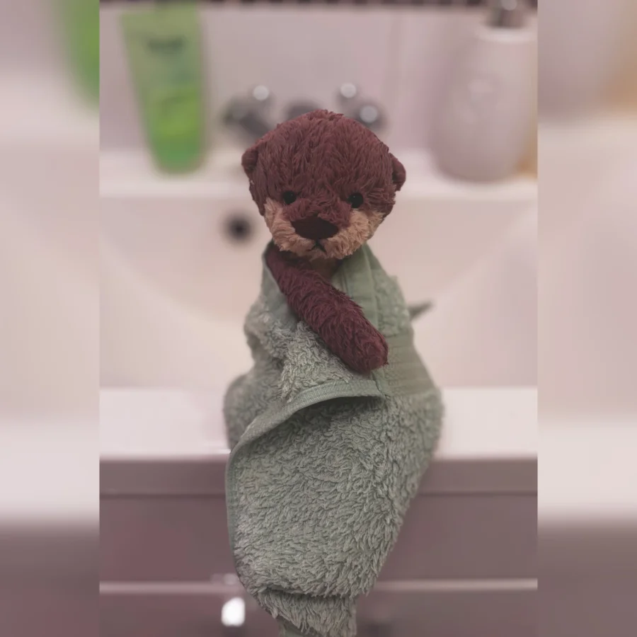 Front - Bashful Otter - Small photo by lottylovesjellycats