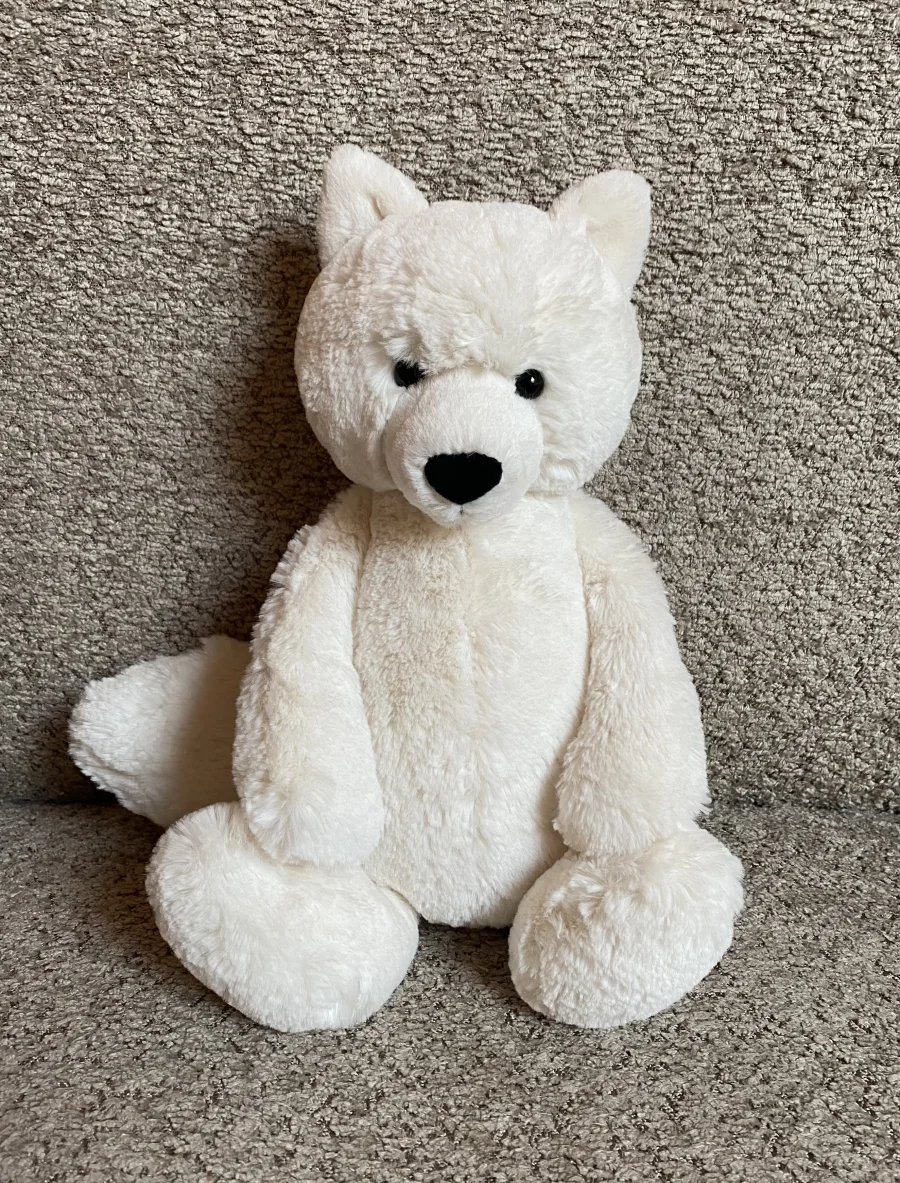 Front - Bashful Arctic Fox photo by Abyss'Dragons