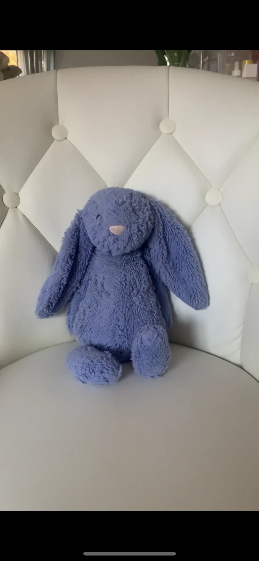 Front - Bashful Bluebell Bunny - Medium photo by its.amb3rrx