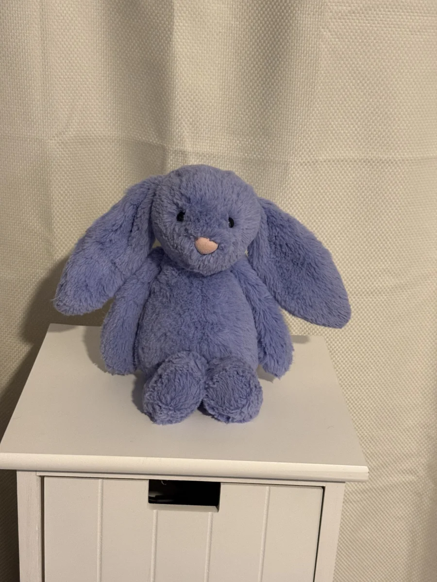 Front - Bashful Bluebell Bunny - Medium photo by Bunnylove