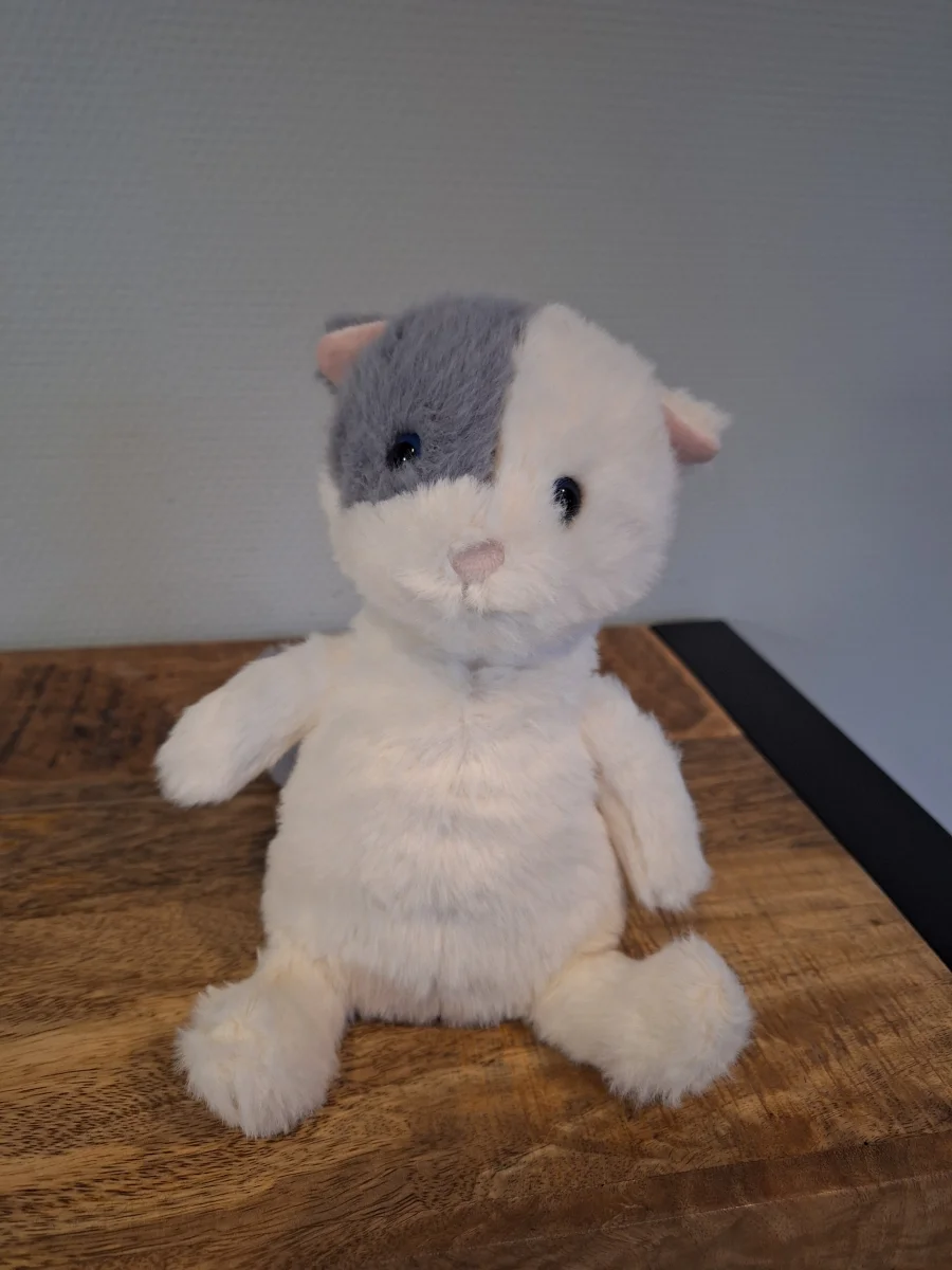 Front - Munchkin Cat photo by Sofie