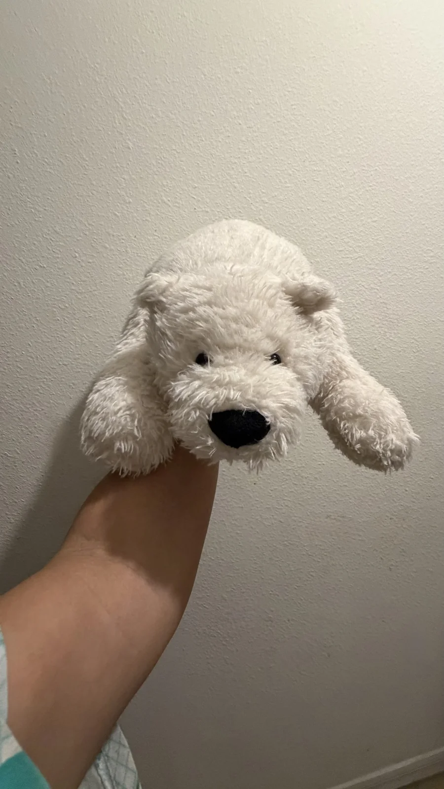 Front - Nozzy Polar Bear photo by bronzieandthejellies