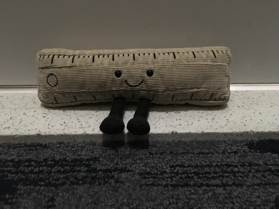 Front - Smart Stationery Ruler - Large photo by LolaKay1