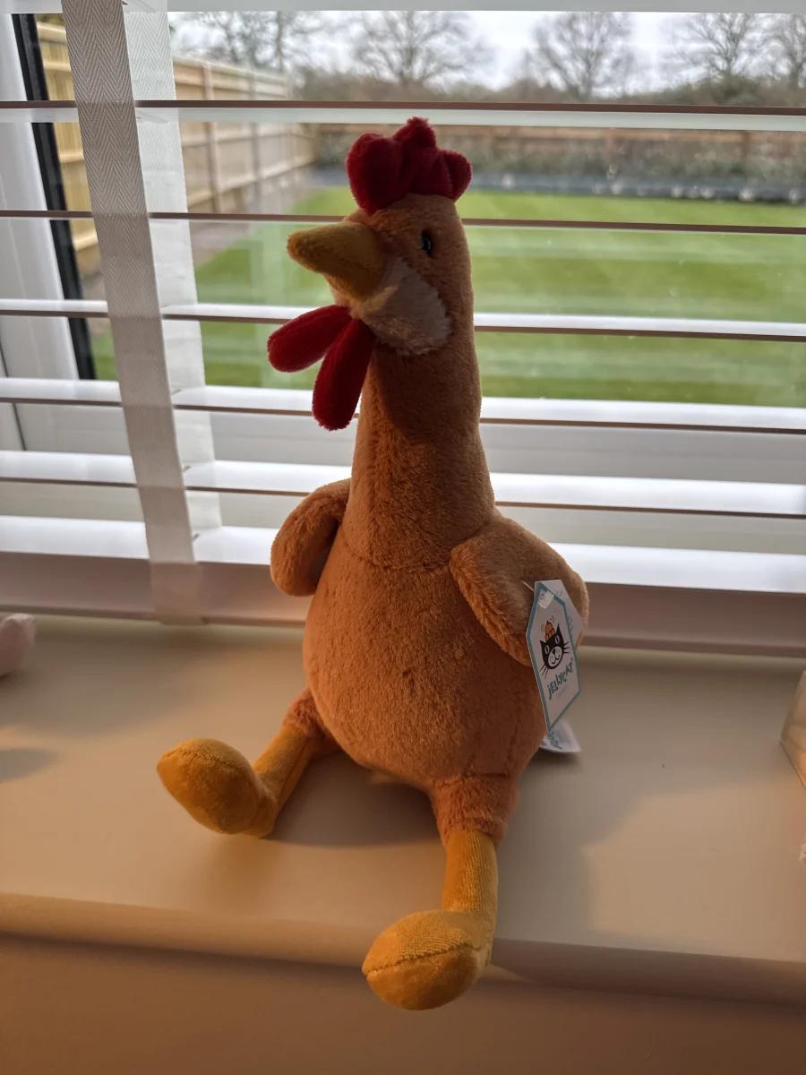Front - Henrietta Hen photo by Trace