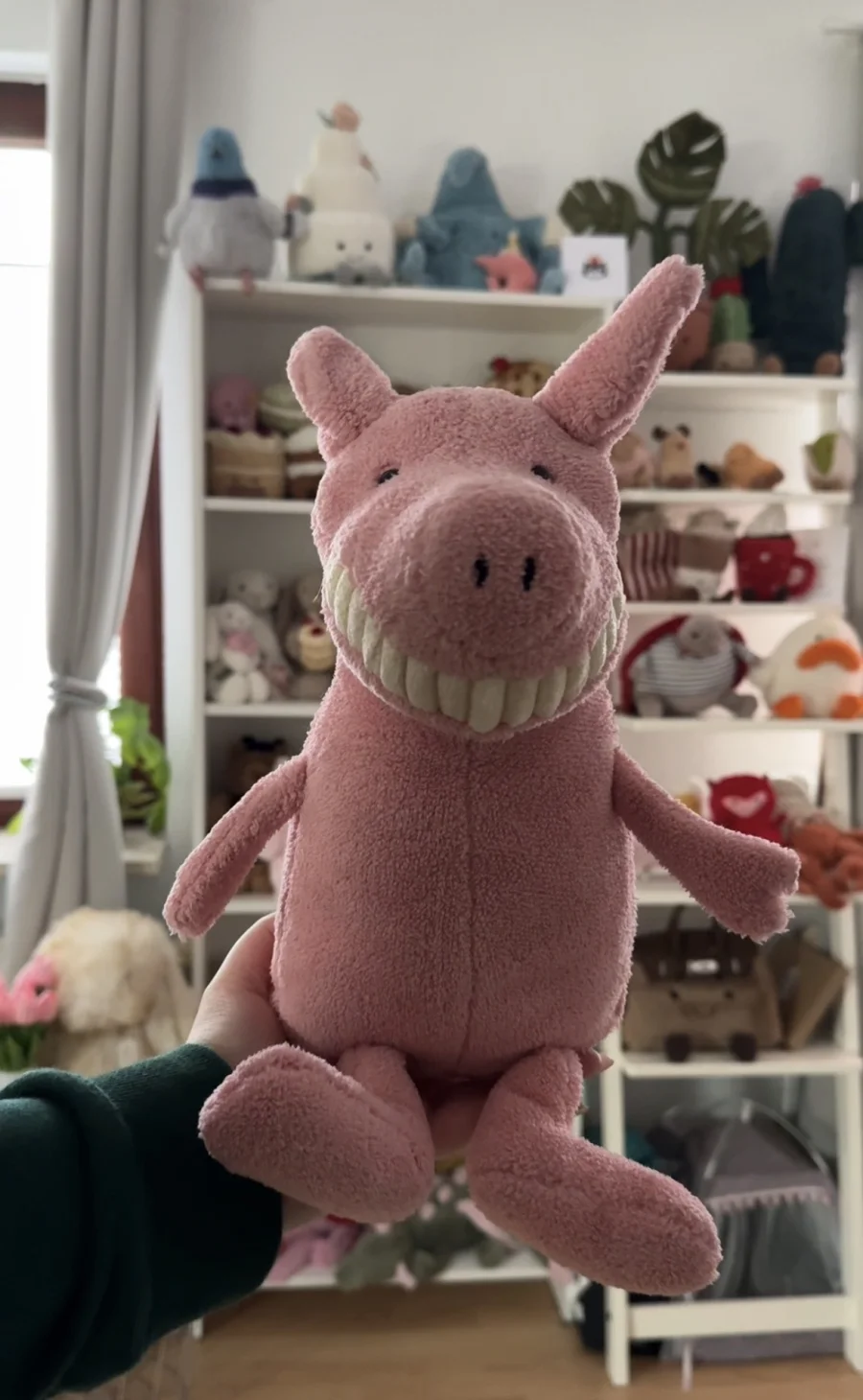 Front - Toothy Pig photo by nelesjellycorner