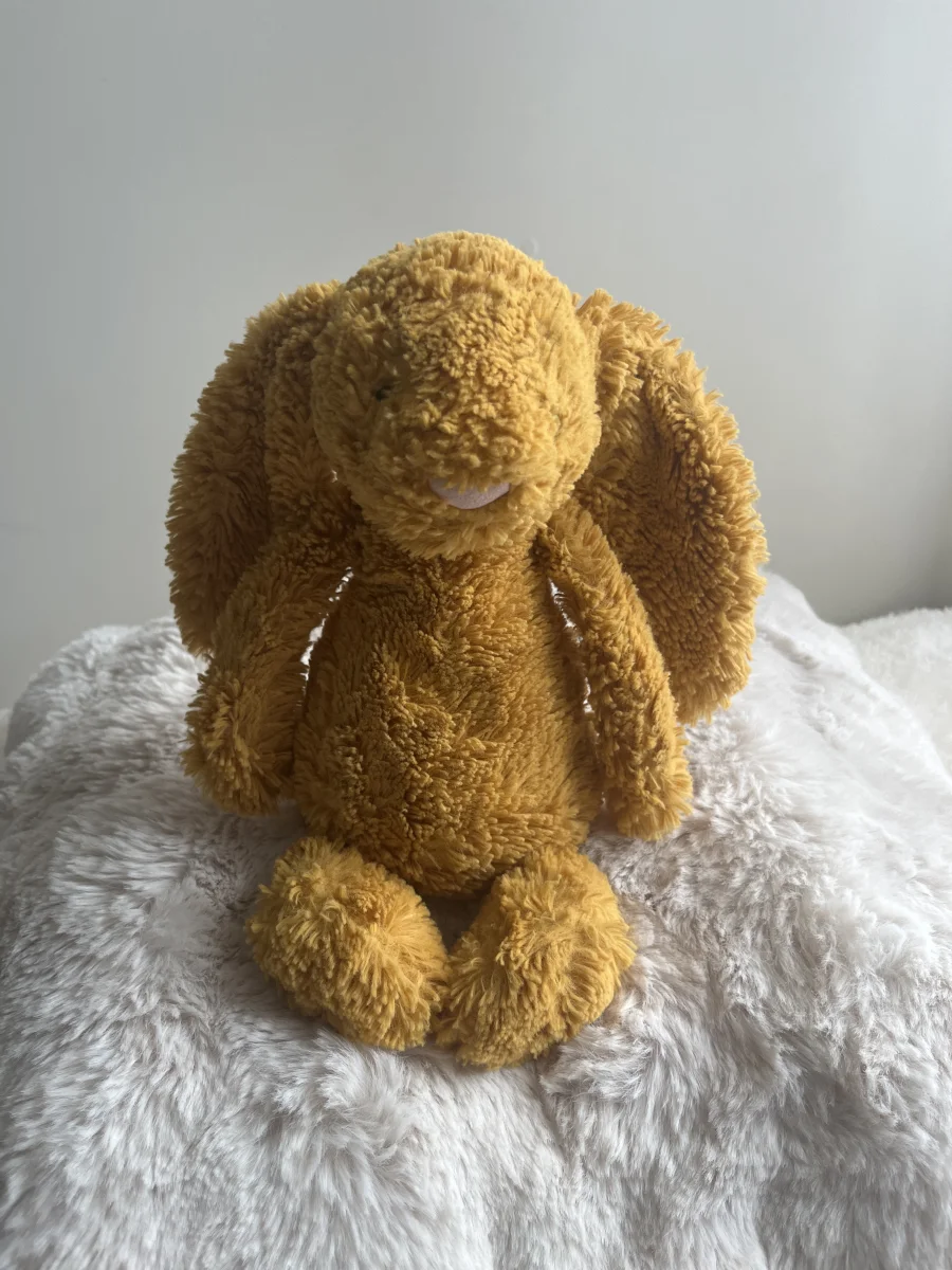 Front - Bashful Saffron Bunny - Medium photo by puresil