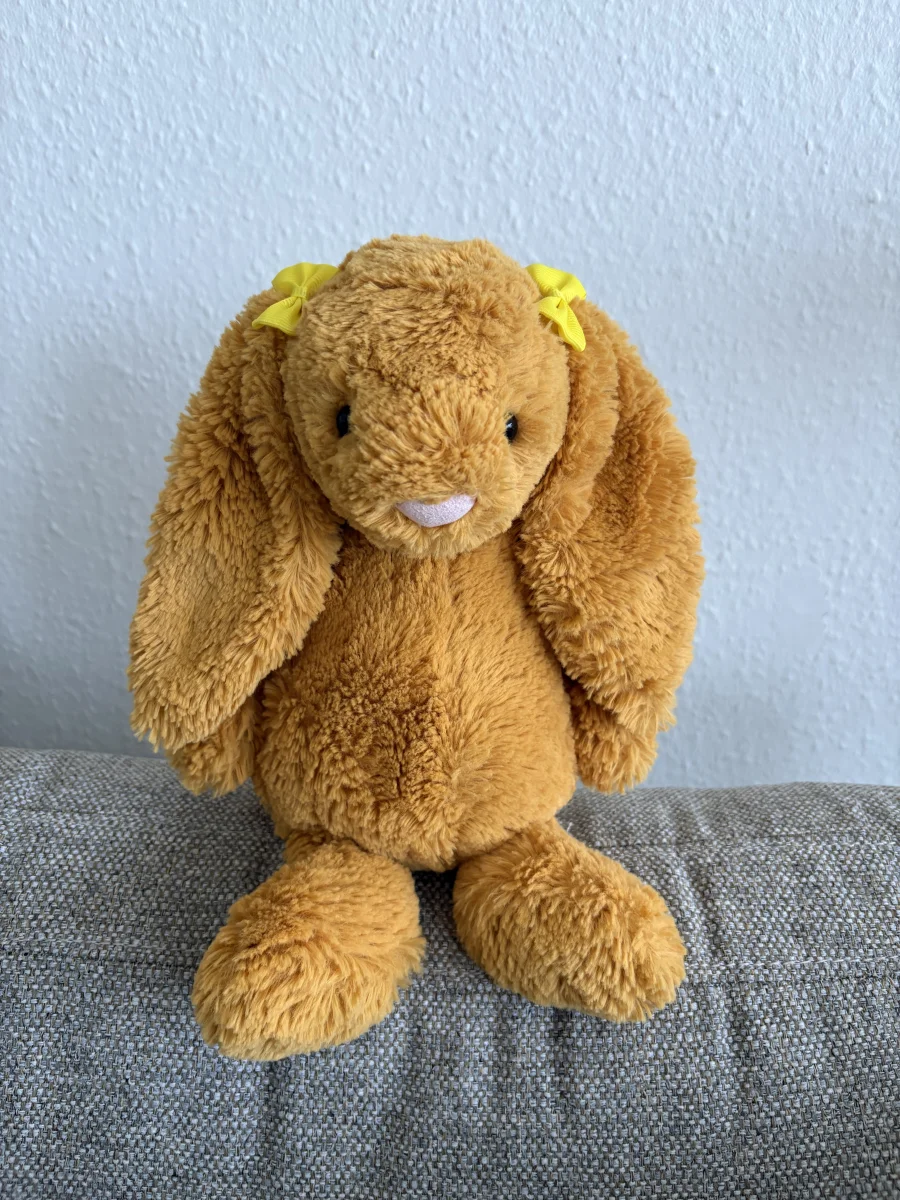 Front - Bashful Saffron Bunny - Medium photo by Fnublo95