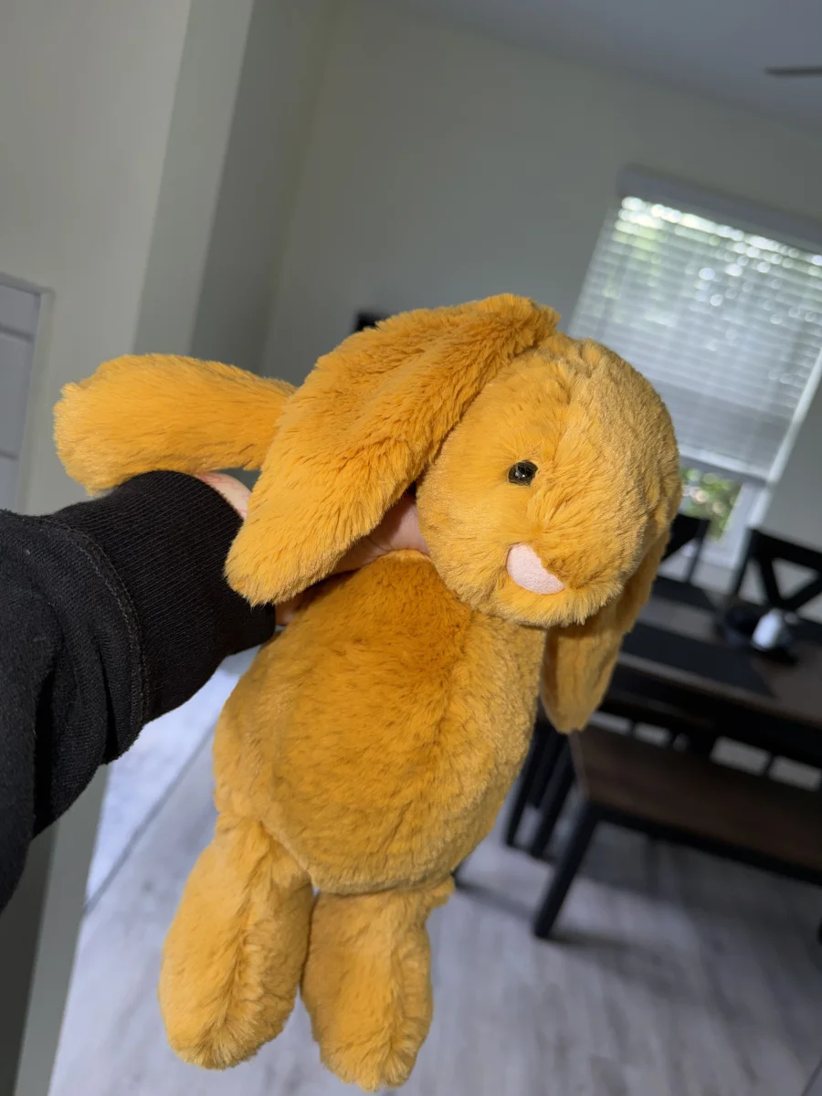 Front - Bashful Saffron Bunny - Medium photo by alinsey