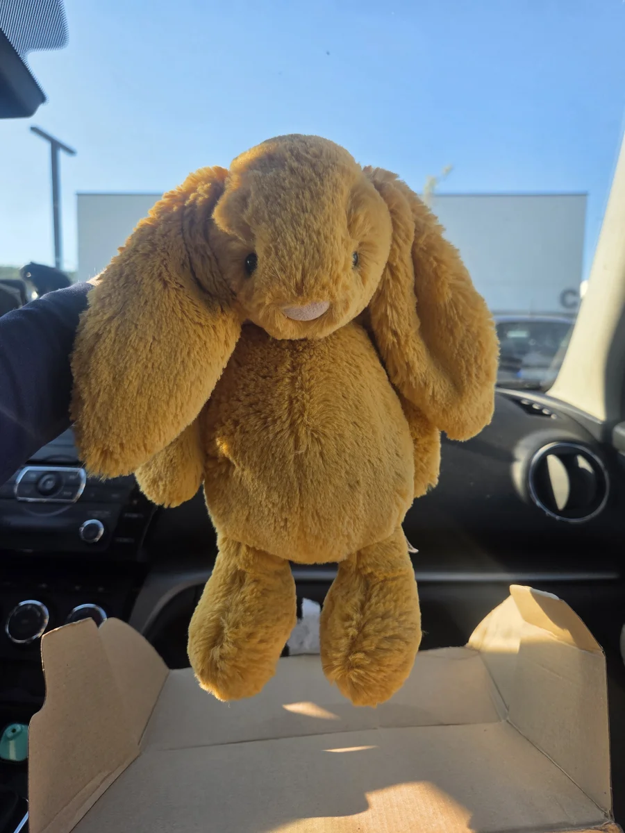 Front - Bashful Saffron Bunny - Medium photo by Eliza23