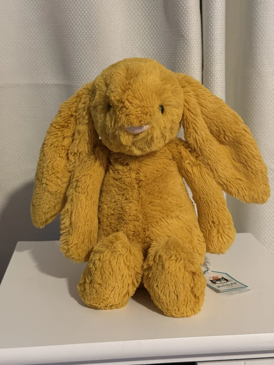 Front - Bashful Saffron Bunny - Medium photo by Bunnylove