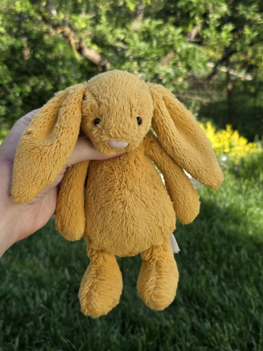 Bashful Saffron Bunny - Small Jellycat Photo by Eliza23 | Jelly