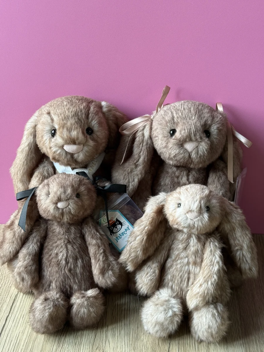 Front - Bashful Pecan Bunny - Medium photo by ilovepooches025