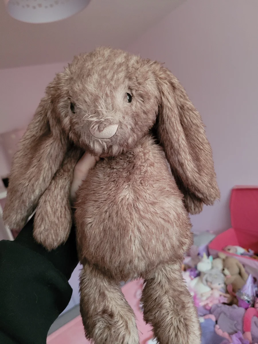 Front - Bashful Pecan Bunny - Medium photo by Kitsfae