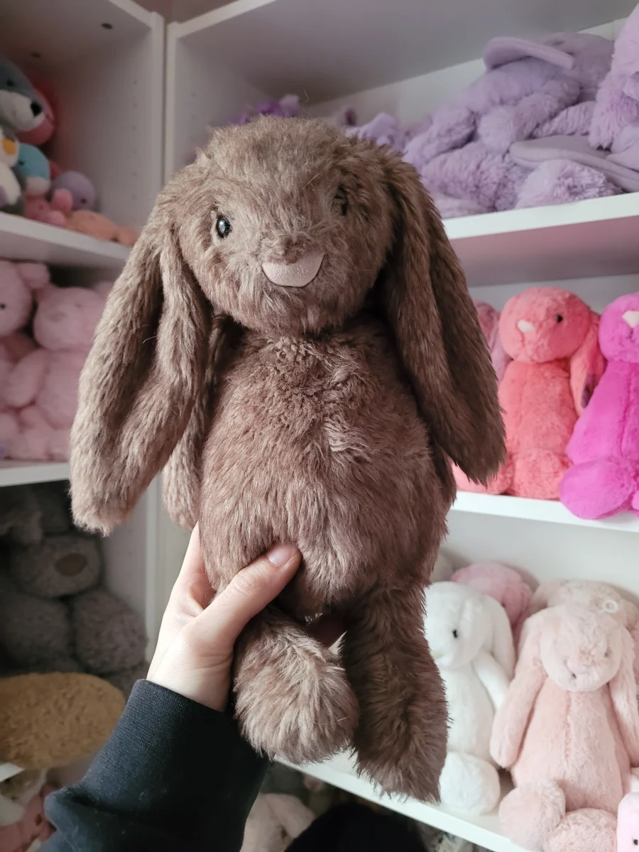 Front - Bashful Pecan Bunny - Medium photo by Kitsfae