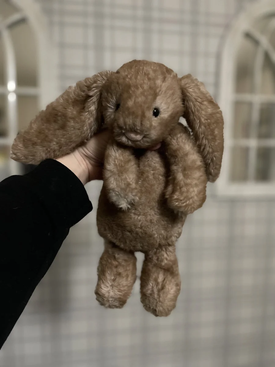 Front - Bashful Pecan Bunny - Medium photo by thecolourcoral