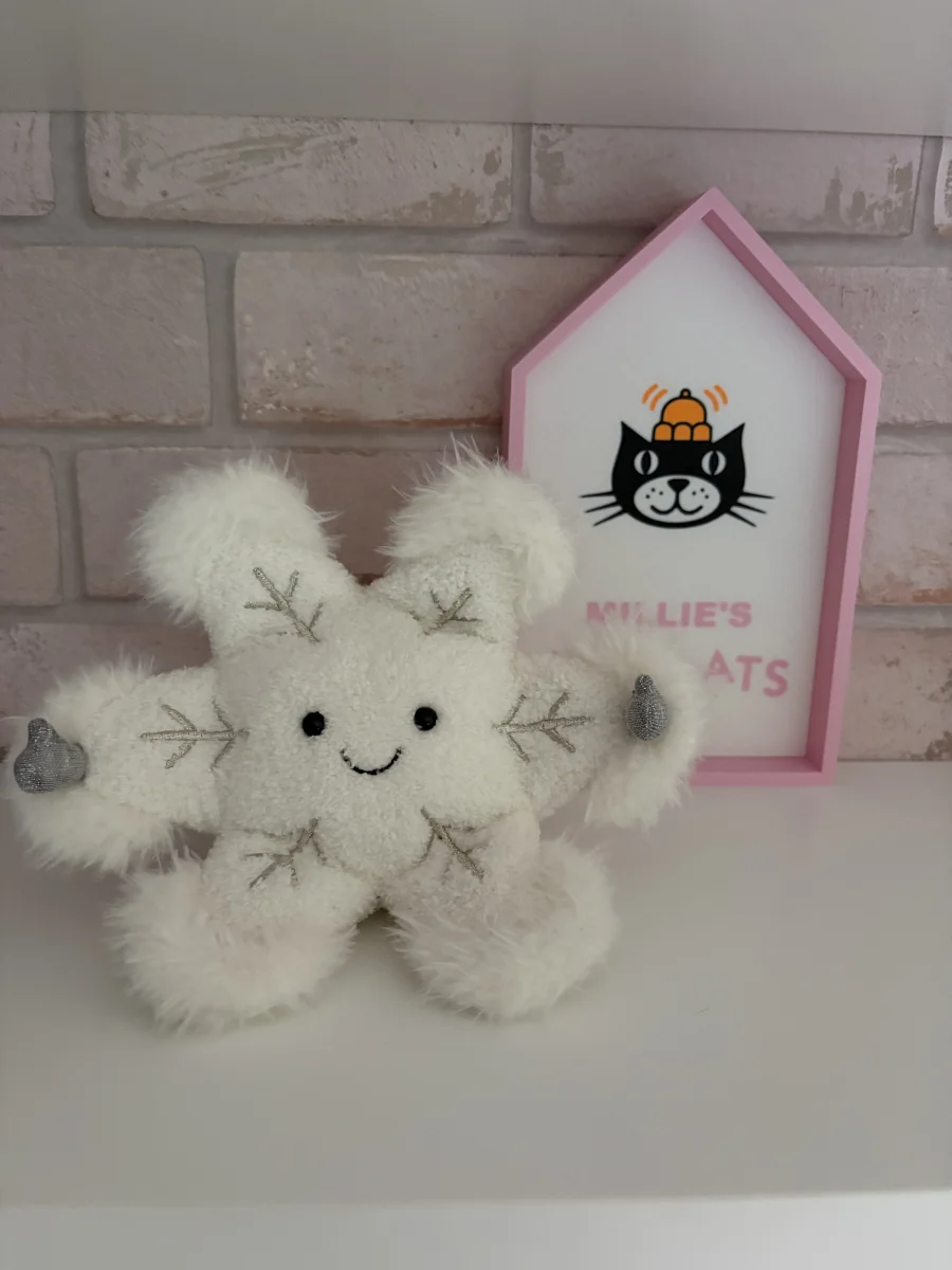 Front - Amuseables Snowflake photo by Milliebailey