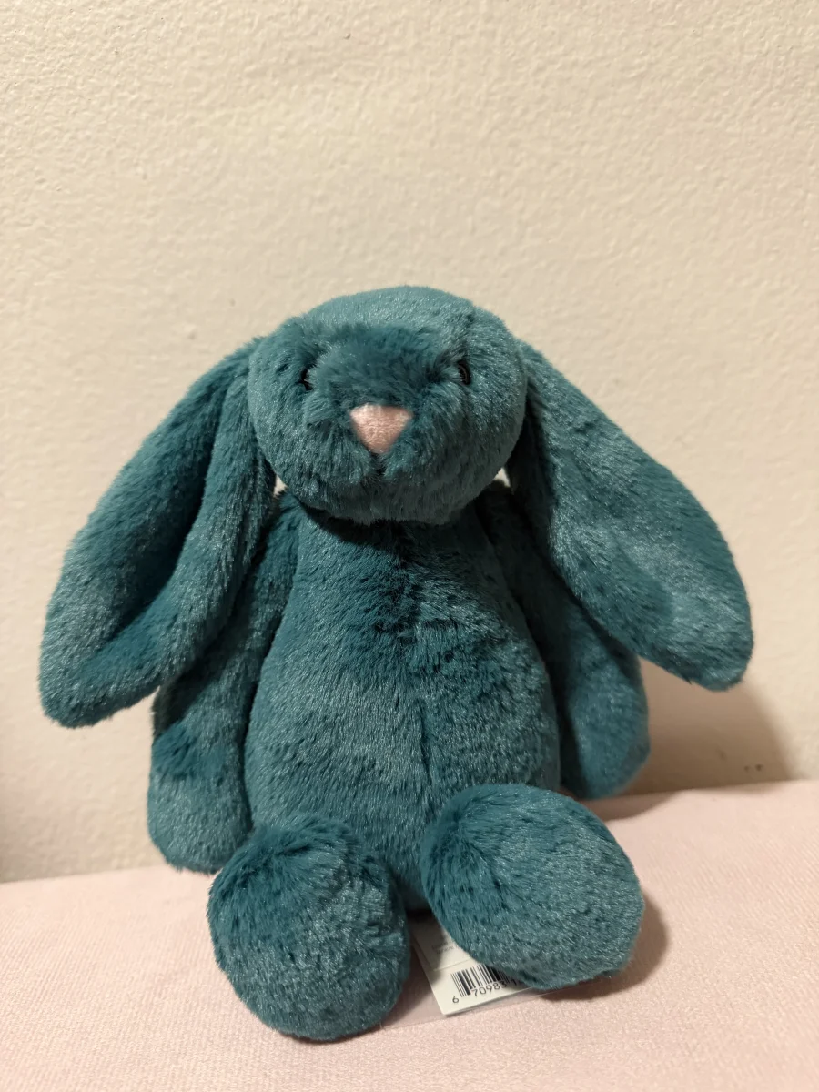 Front - Bashful Teal Bunny photo by katsjellies