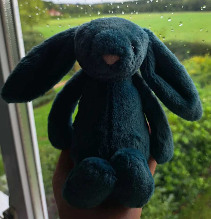 Front - Bashful Teal Bunny photo by Pandabs