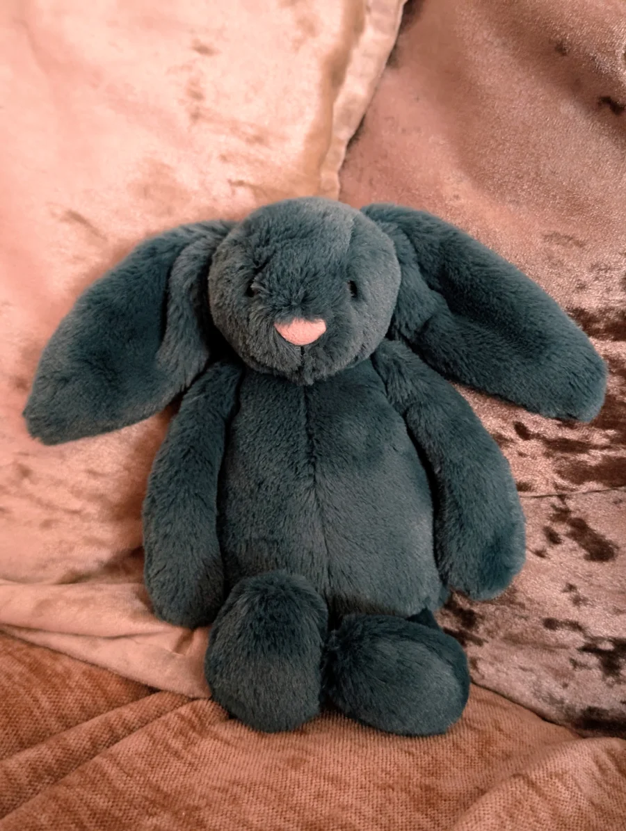 Front - Bashful Teal Bunny photo by Jelly_shebear