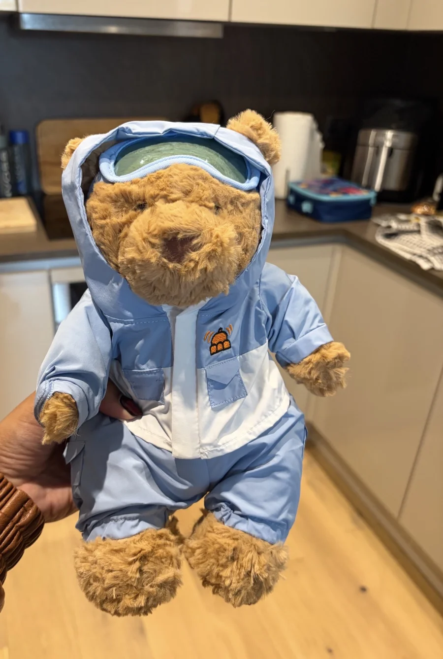 Front - Bartholomew Bear 'Snow Suit' photo by Seni113