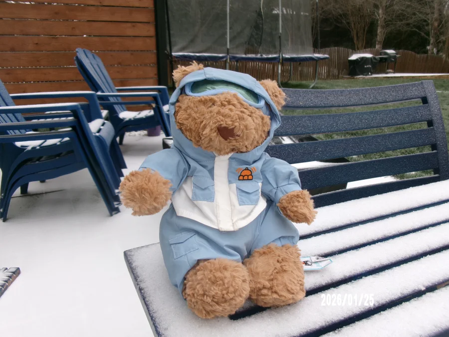 Front - Bartholomew Bear 'Snow Suit' photo by Maddys_Jellies