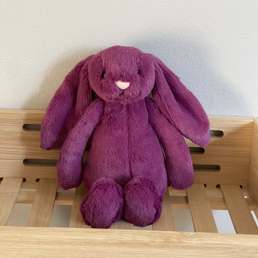 Front - Bashful Allium Bunny photo by charlotteriddettepage