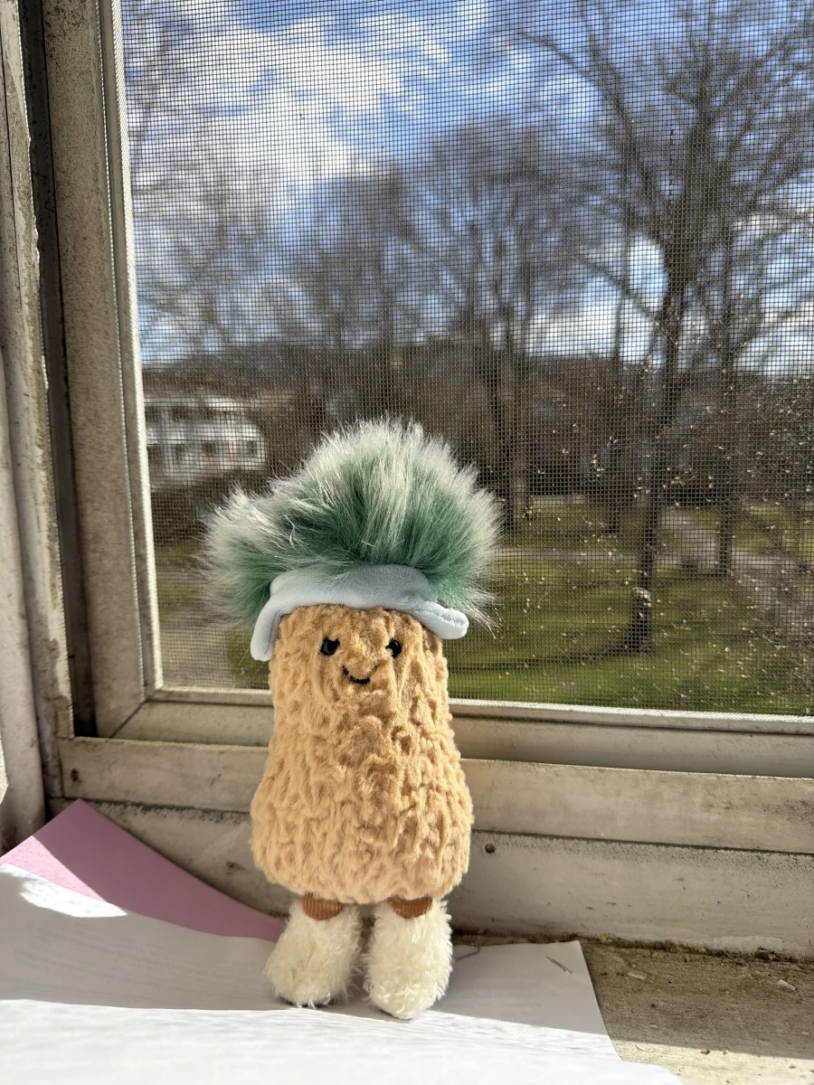 Front - Amuseables Peanut 'Après Ski' photo by katsjellies