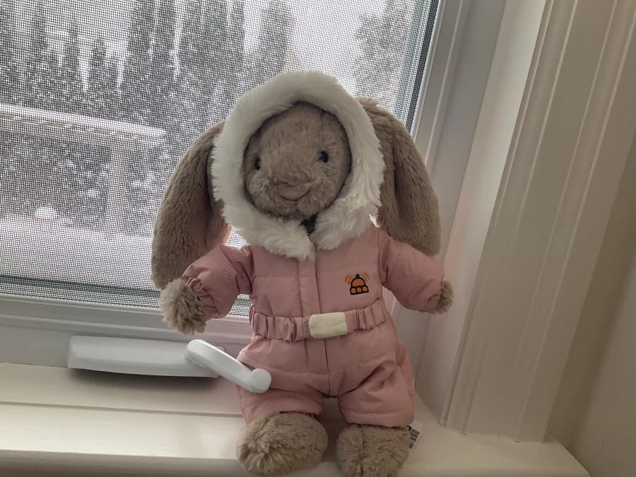 Front - Bashful Bunny 'Snow Suit' photo by Luxebunny10