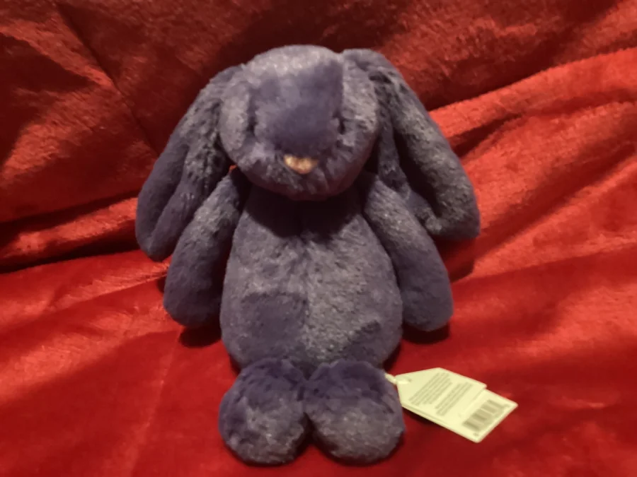 Front - Bashful Saffyre Bunny photo by Jellybunnys1984