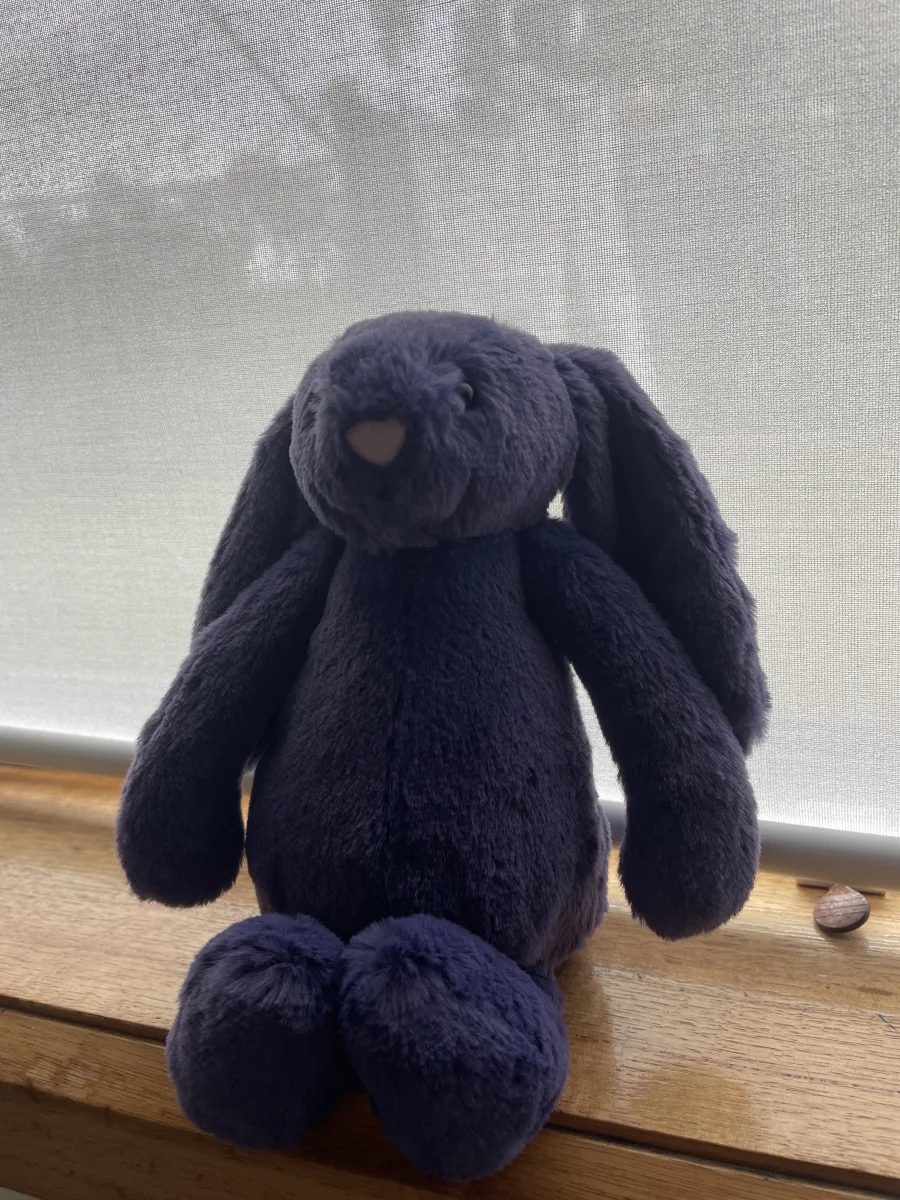 Front - Bashful Saffyre Bunny photo by Neve2011