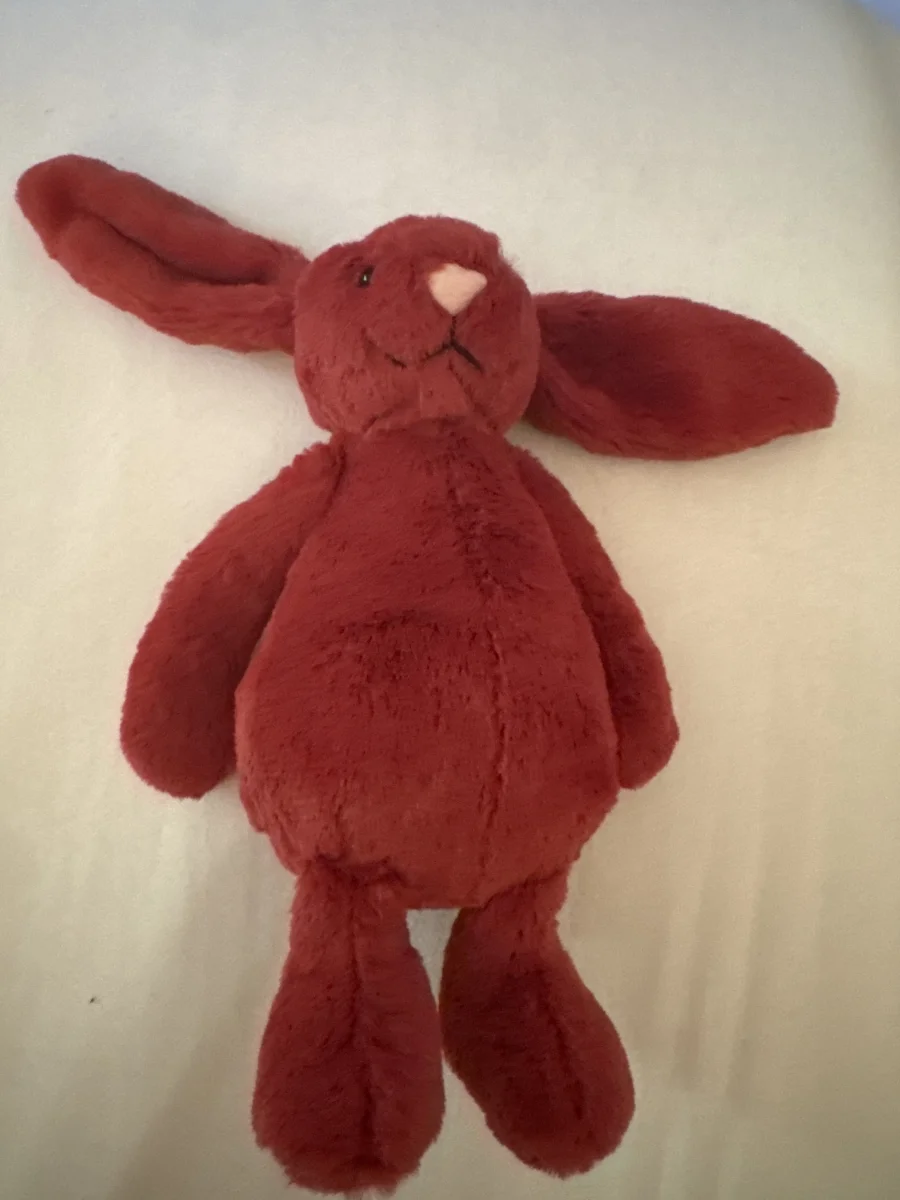 Front - Bashful Redcurrant Bunny photo by Ellouise39
