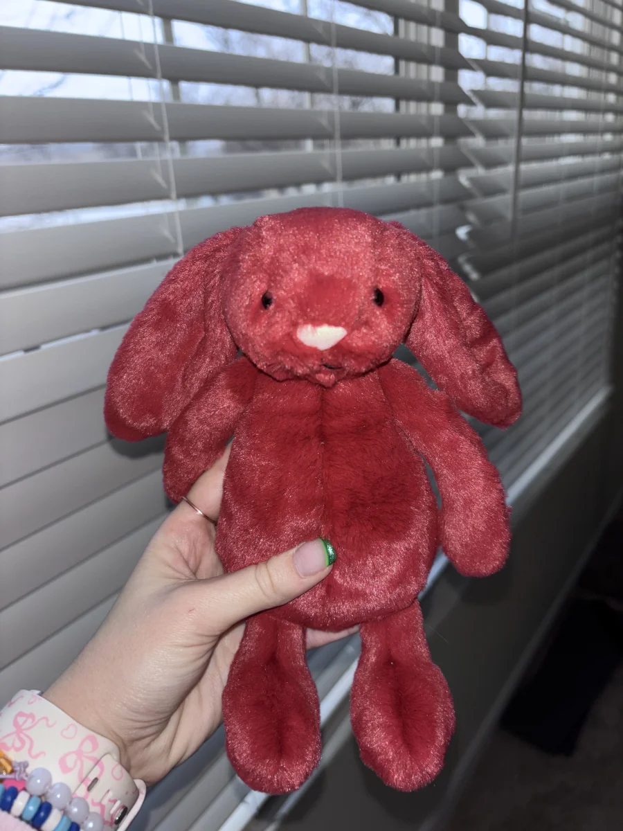 Front - Bashful Redcurrant Bunny photo by alinsey