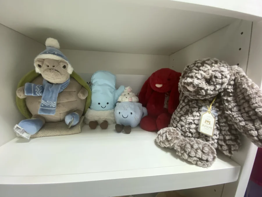 Front - Amuseables Mitten photo by PinkLotus2023