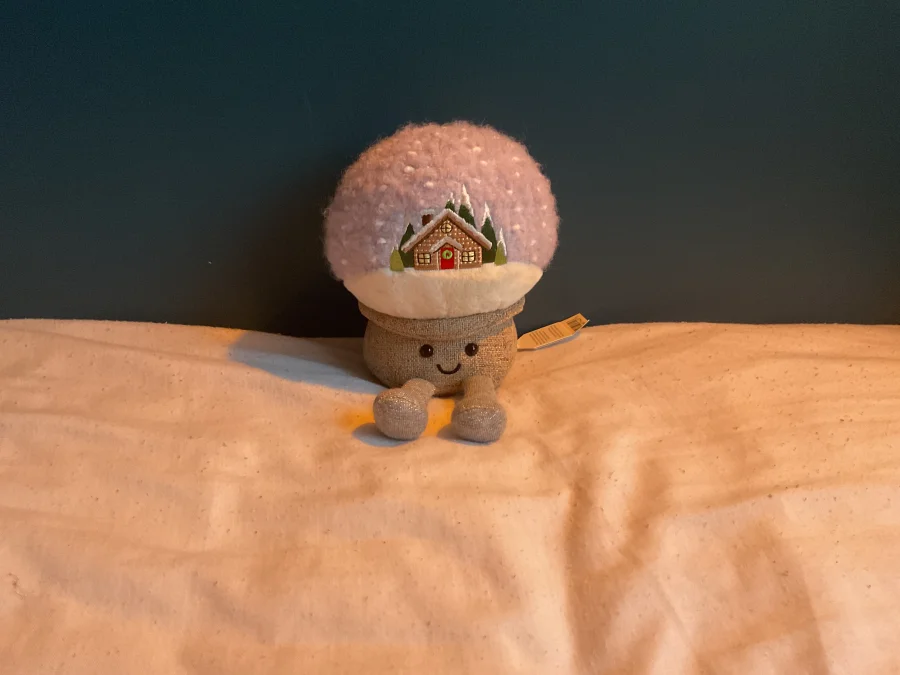 Front - Amuseables Snow Globe photo by JELLYCAT102