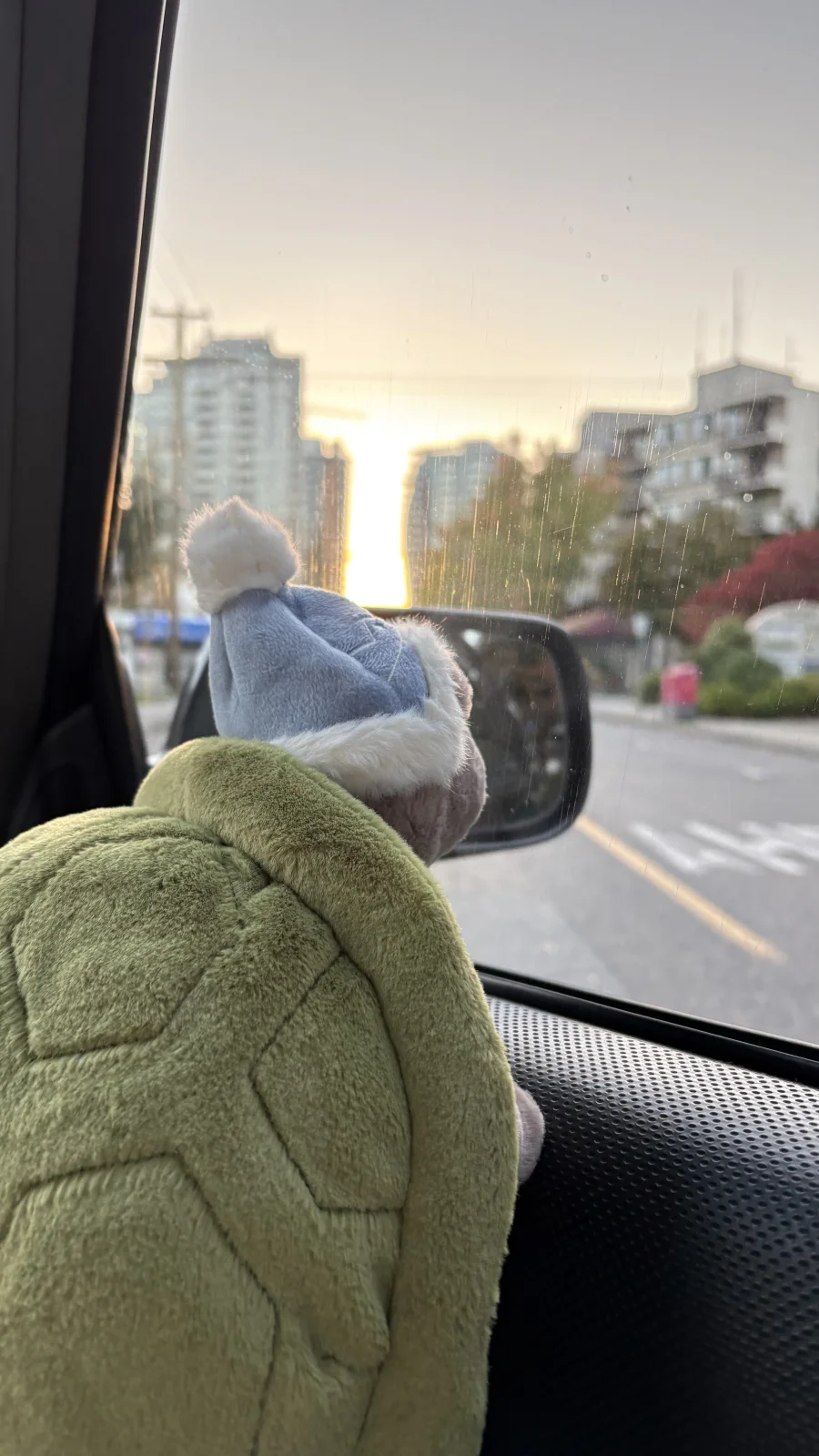 Back - Timmy Turtle 'Skating' photo by JellyMint