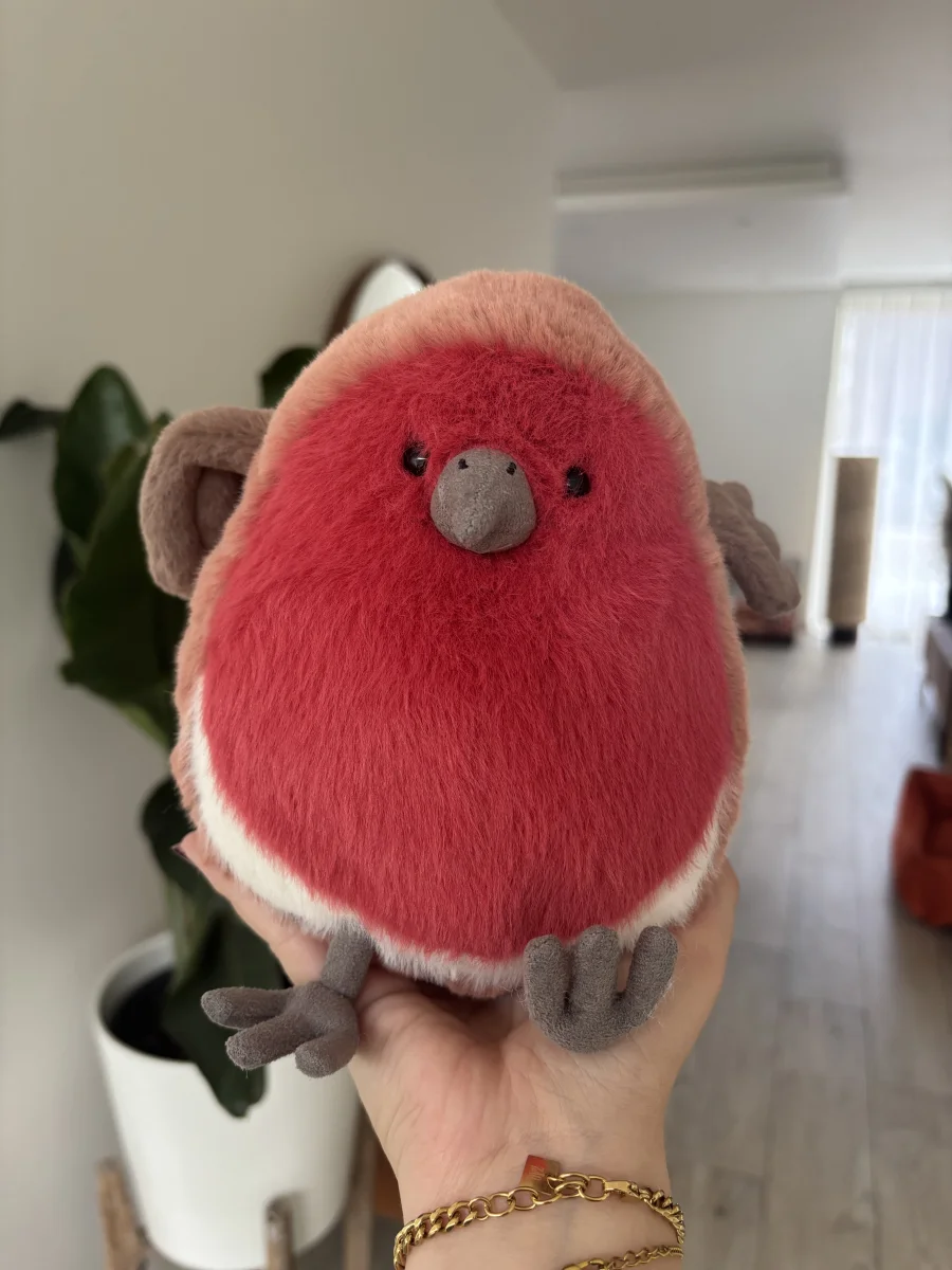 Front - Plum Robin photo by the_jelly_jungle