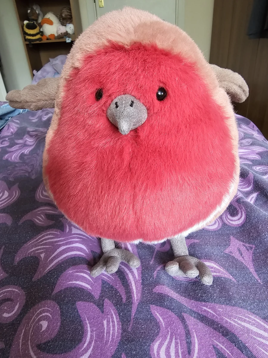 Front - Plum Robin photo by Jabbawokky21