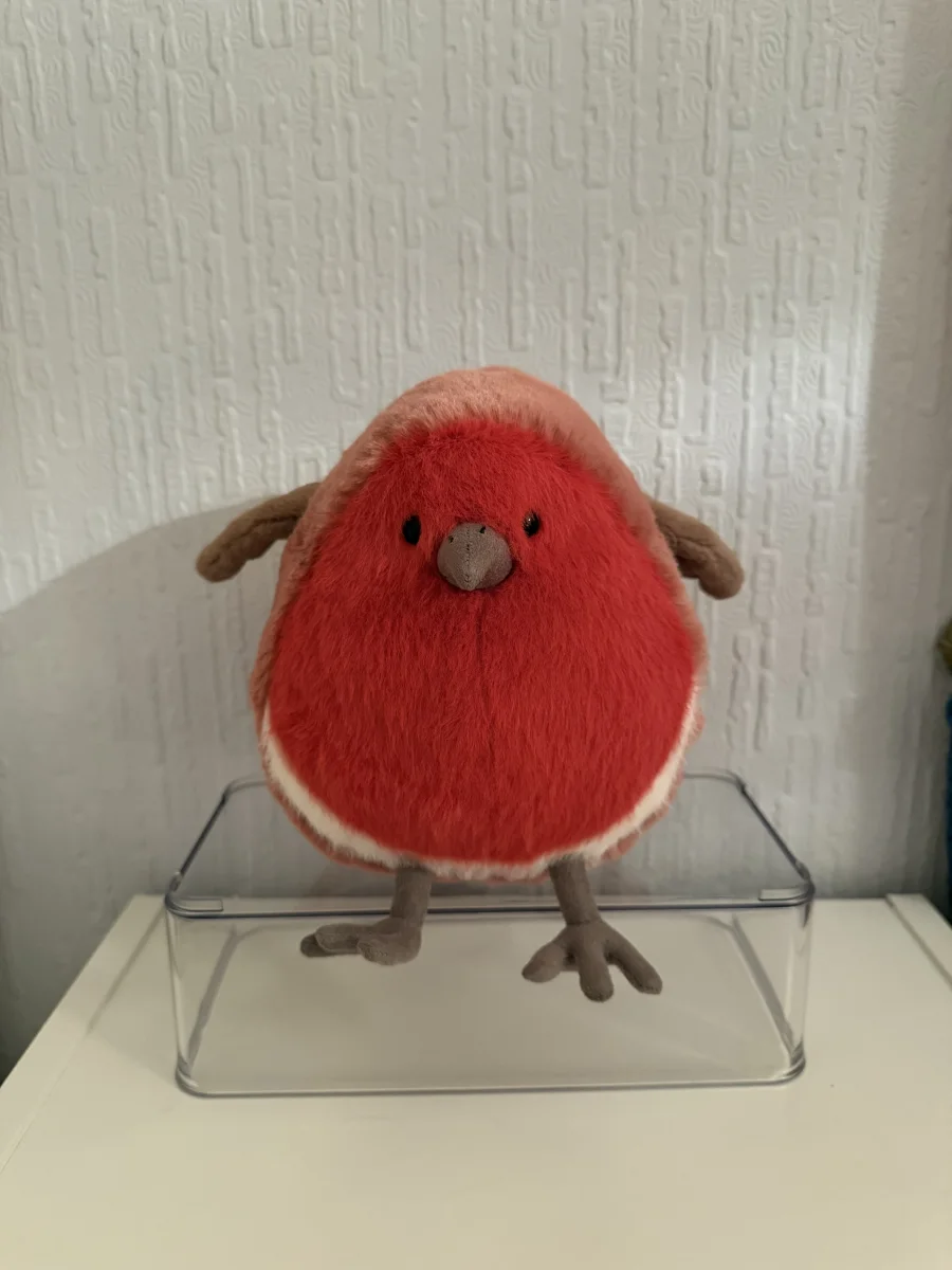 Front - Plum Robin photo by Bethanyxox