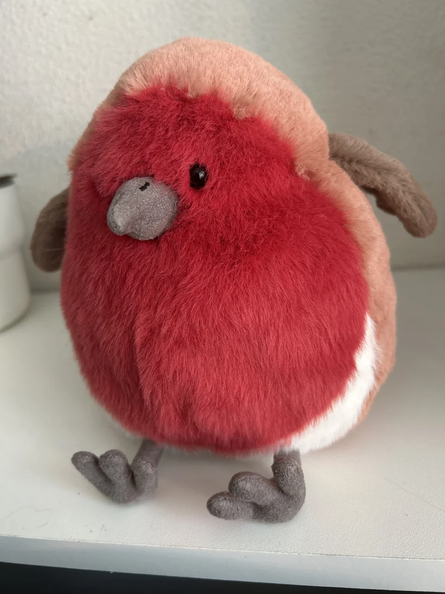 Front - Plum Robin photo by Cla_D