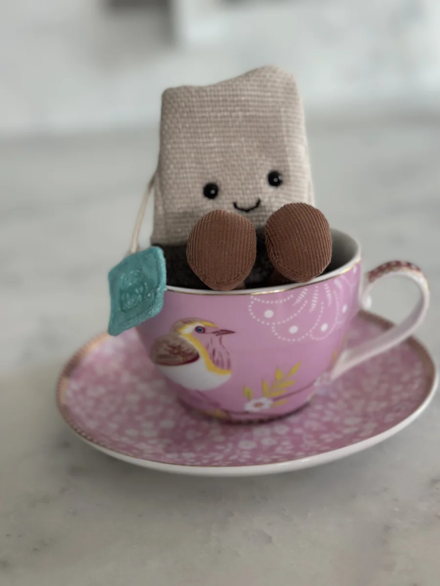 Front - Amuseables Steepy Tea Bag photo by Clare