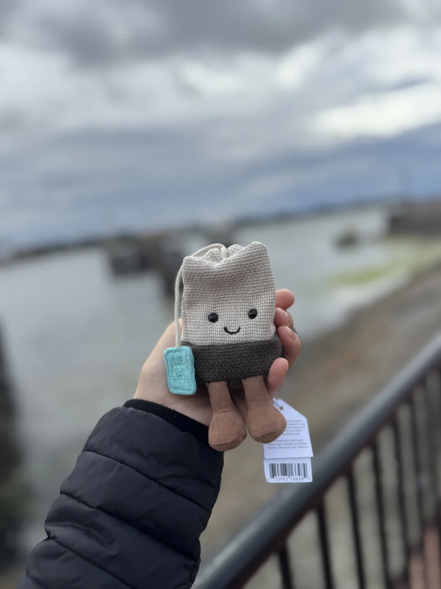 Front - Amuseables Steepy Tea Bag photo by emmaglouise