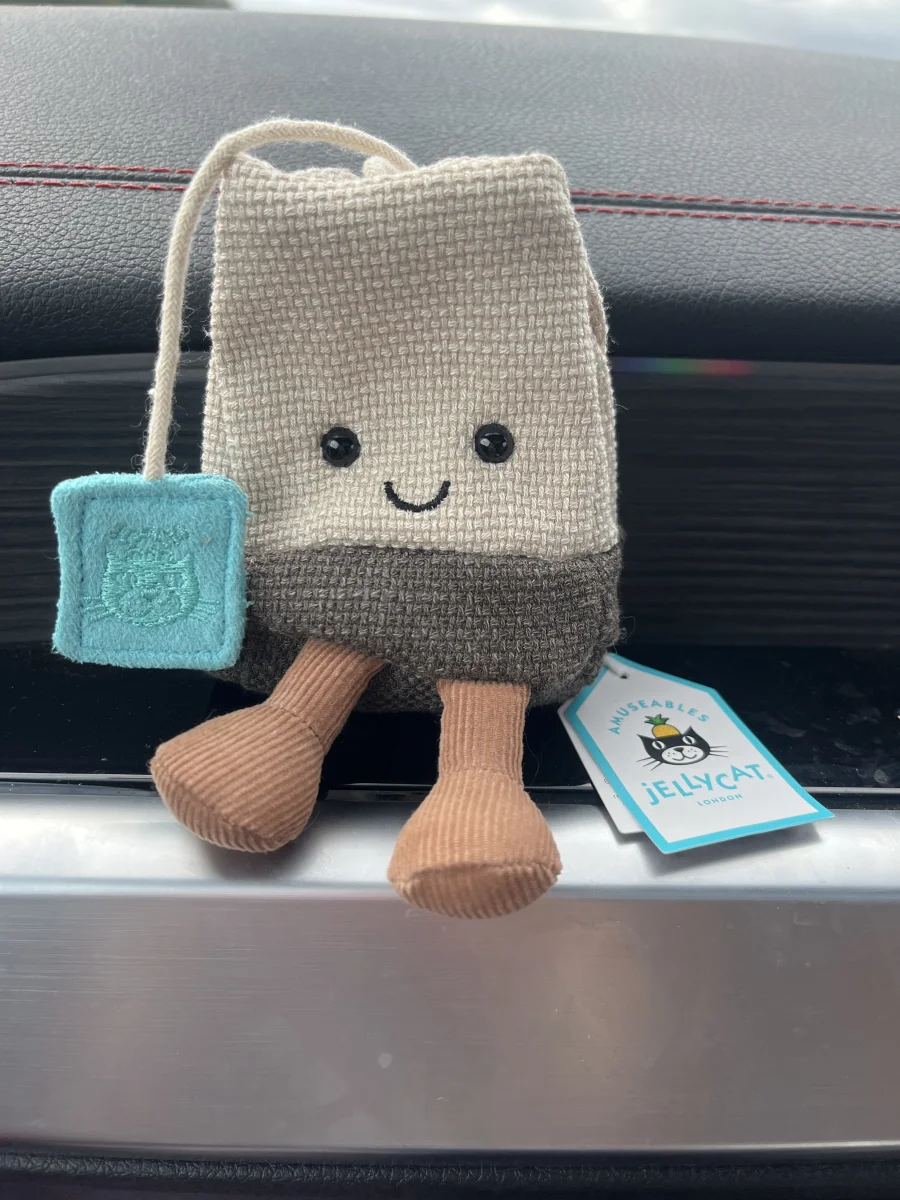 Front - Amuseables Steepy Tea Bag photo by Holly_pops