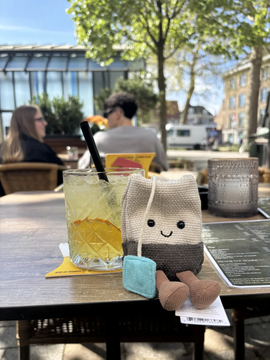Front - Amuseables Steepy Tea Bag photo by monki123