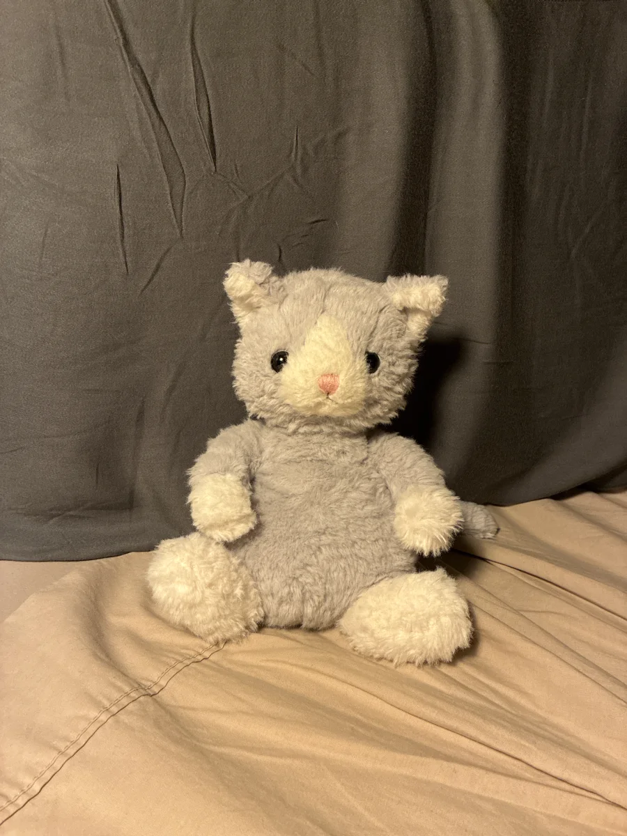 Front - Shimmer Mitten Kitten photo by hayleehaunts