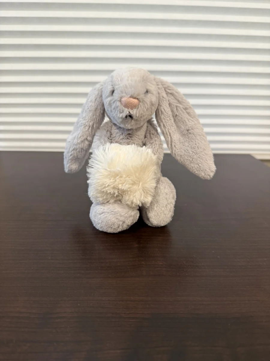 Front - Bashful Silver Snow Bunny photo by Bunnylove