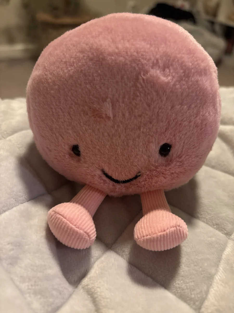 Front - Amuseables Mia Macaron photo by mias_jellycats