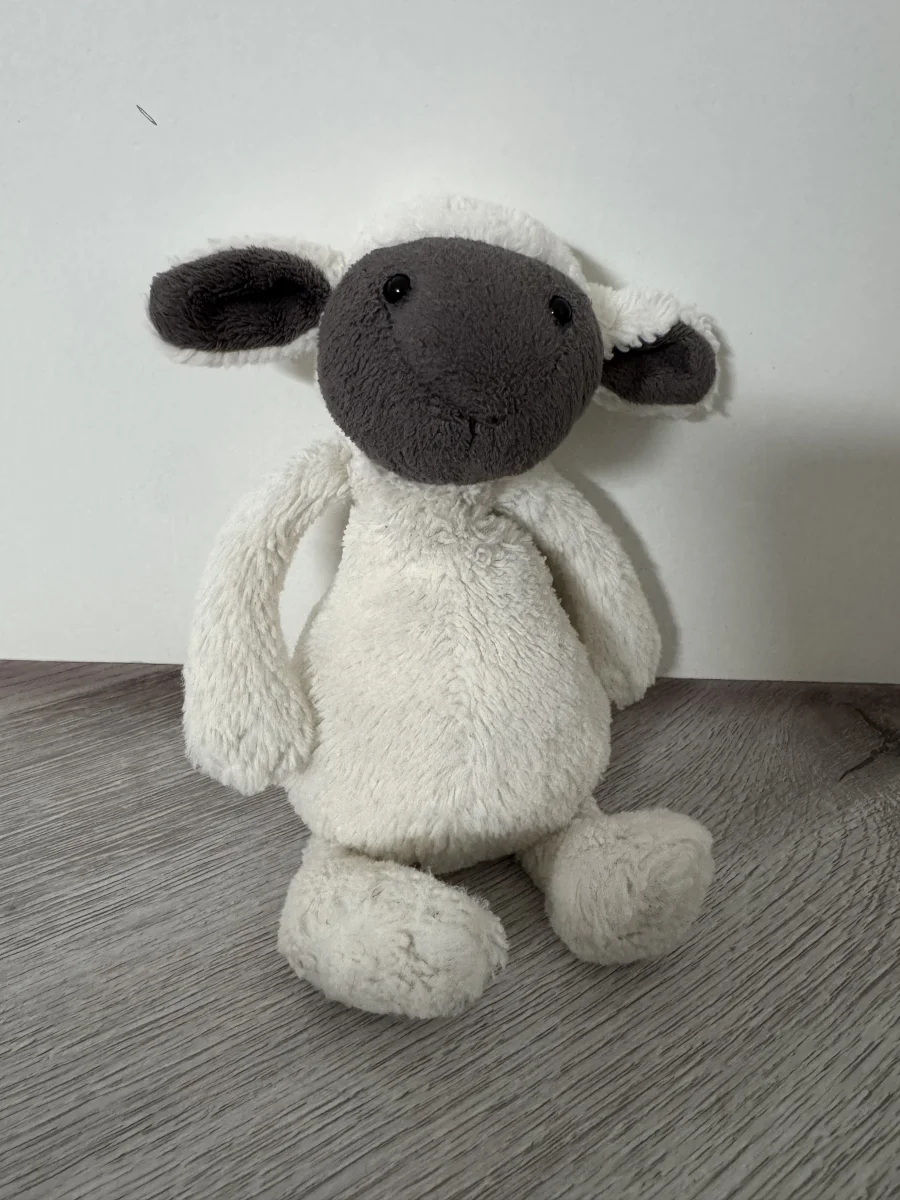 Front - Bashful Greyface Lamb - Small photo by SenS