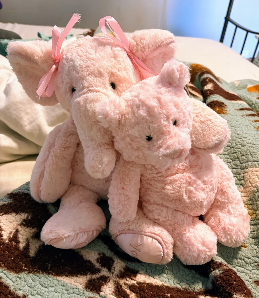 Lifestyle - Leola Bear - Medium photo by JellytimeLaMay