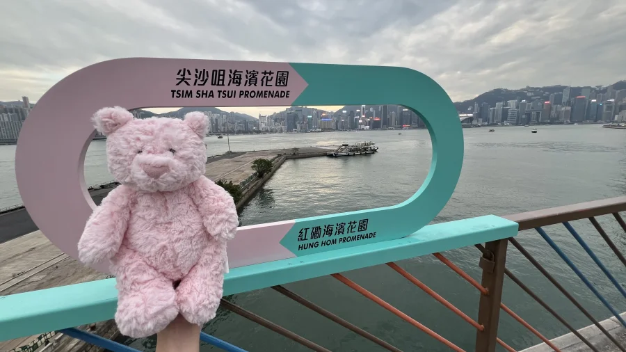 Lifestyle - Leola Bear - Medium photo by Oddlyenough